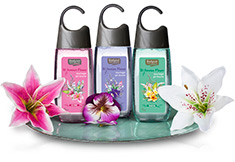 Festivalitis met Bodysol Bohemian Flower