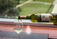 Le vin d’Ilok, un trésor croate qui a survécu