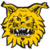 Ilves Ilves