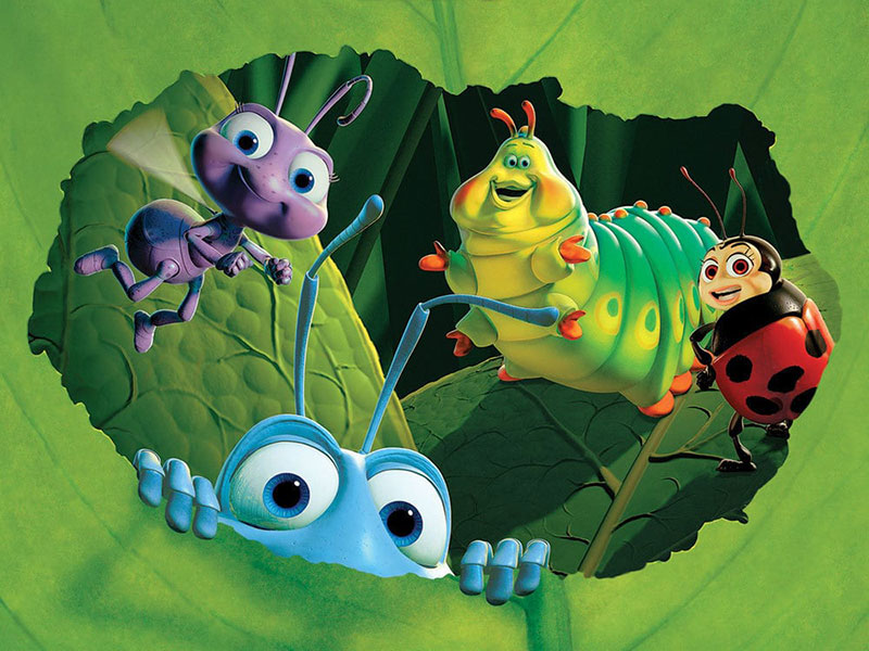 Regardez 1001 Pattes et Wizzy & Woppy avec l'option All Kids