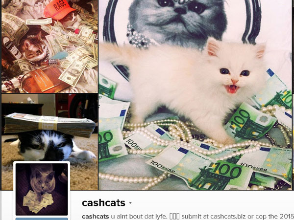 @cashcats