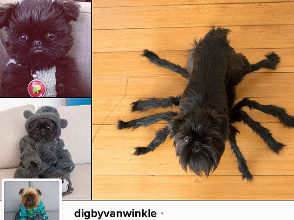 @digbyvanwinkle