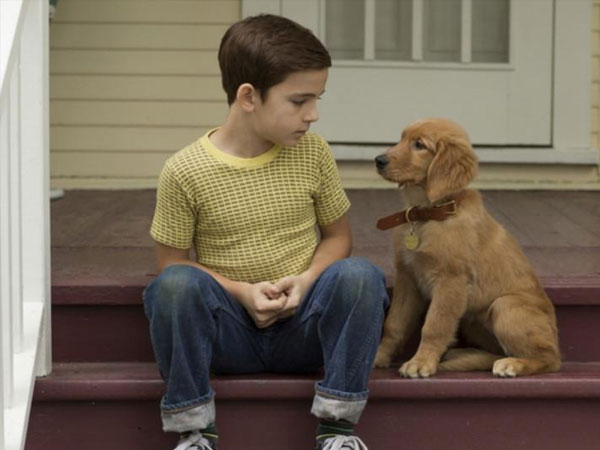 A dog's purpose