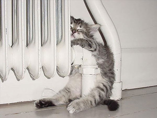 Opwarming