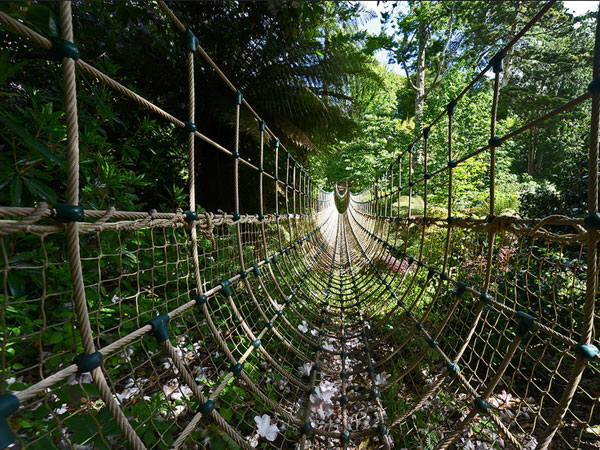 Heligan Gardens Brug - Cornwall (UK)