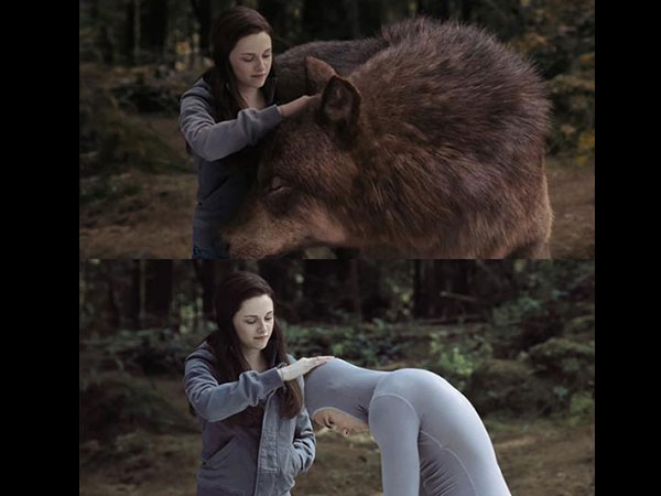 The Twilight Saga: Eclipse