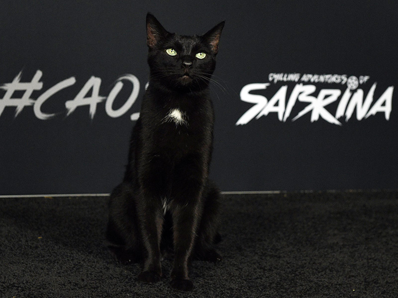 Salem(s)