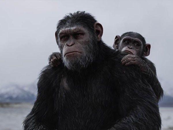 Top 5: 4. War for the Planet of the Apes