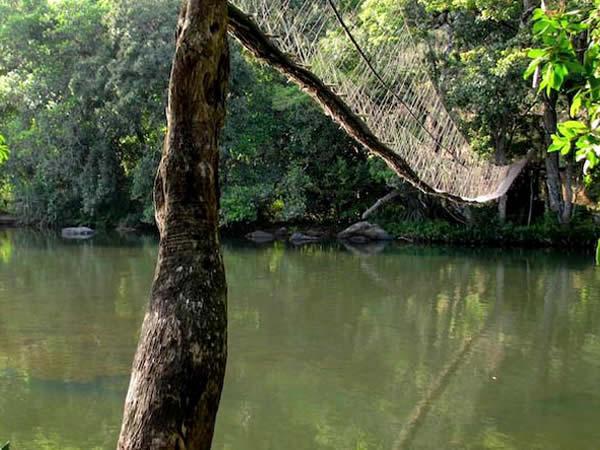 Kambadaga, Costa Rica