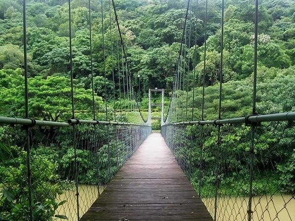 ponts suspendus