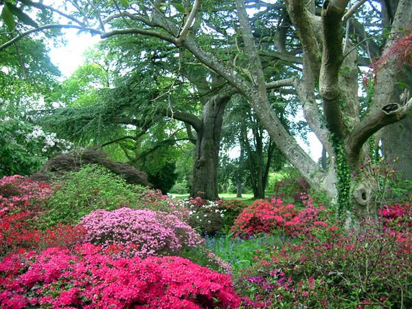 Les plus beaux jardins du monde - Les plus beaux jardins du monde