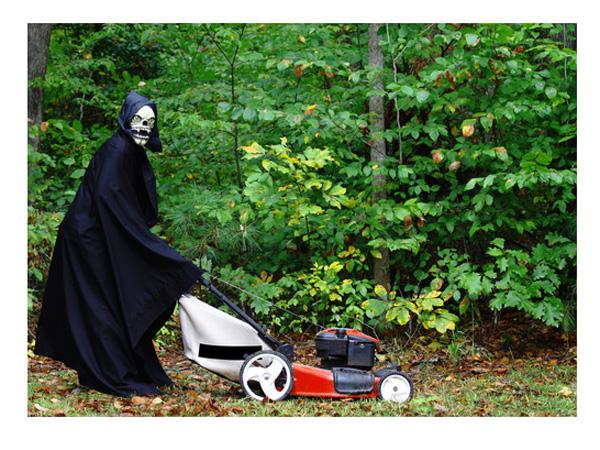 De schrik van de tuin Je eigen Halloween huis