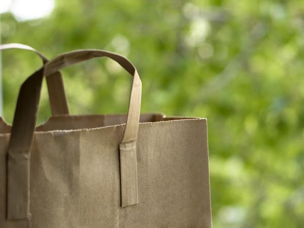 Utiliser des sacs en papier ou en plastique ?