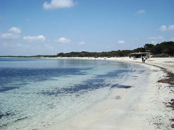 Es Trenc (Mallorca - Spanje)