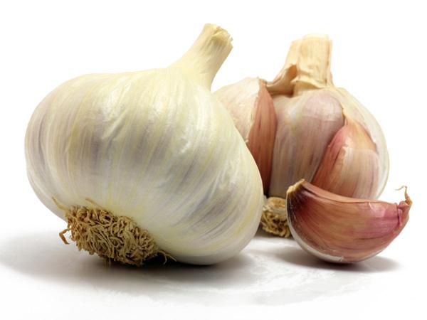 Knoflook