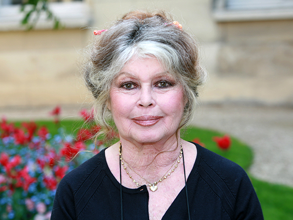 Brigitte Bardot : "Les acteurs d'aujourd'hui ? Malades, tordus et moches"