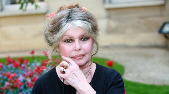 Mardi 23 septembre - Un jour, une histoire consacré à Brigitte Bardot (France 2, 20h45)