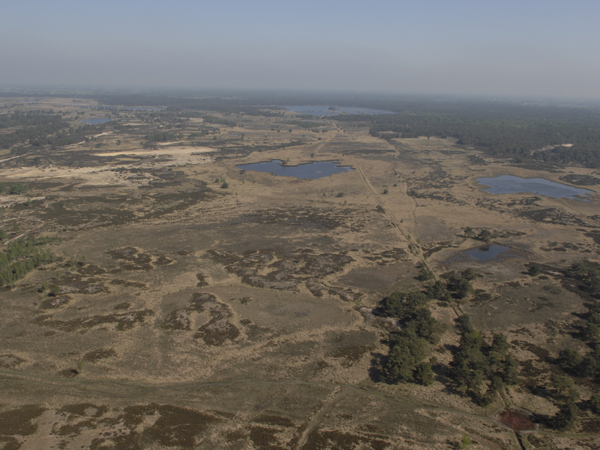 De Kalmthoutse heide