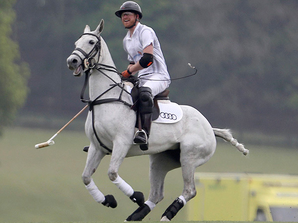 Le prince Harry