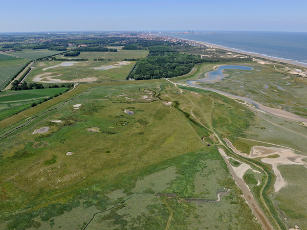 Het Zwin