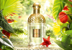Nouvelles fragrances : on vous met au parfum Nouvelles fragrances : on vous met au parfum