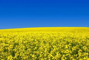 10 idées reçues sur le Bio 10 idées reçues sur le Bio