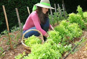 Tips voor een ecologische moestuin Tips voor een ecologische moestuin