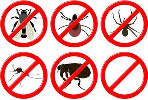 10 produits naturels contre les insectes 10 produits naturels contre les insectes
