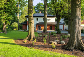 Welke boom past in jouw tuin? Welke boom past in jouw tuin?