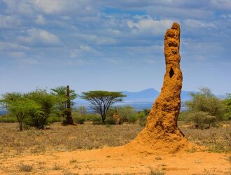 Inspiré par l'Ethiopie