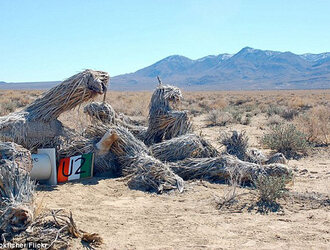 La mort de Joshua Tree