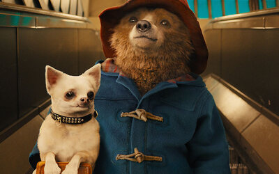 Regardez Paddington, Blue et Rox et Rouky avec l'option All Kids