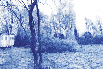 The Bony King of Nowhere releaset demo versies van 'Silent Days'
