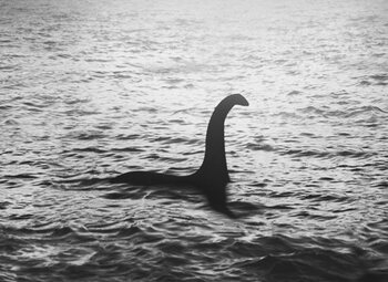 Loch Ness Monster: New Evidence