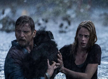Le film "Crawl" est maintenant disponible dans le catalogue à la demande de Proximus Pickx