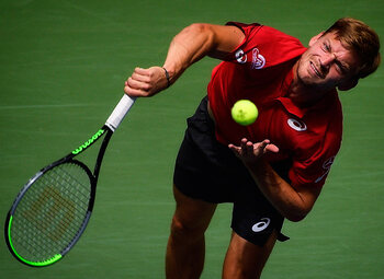 Tournoi ATP d'Anvers : la dernière de Steve Darcis, David Goffin lorgne vers les Masters
