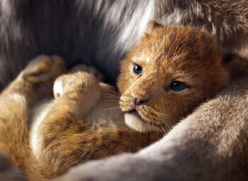 Le Roi Lion: un remake visuellement époustouflant