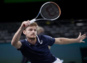 Met deze tips wordt 2021 hét jaar van David Goffin