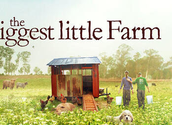 Back to basics met The Biggest Little Farm in Movies & Series!