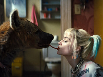 Birds of Prey: de knotsgekke avonturen van Harley Quinn