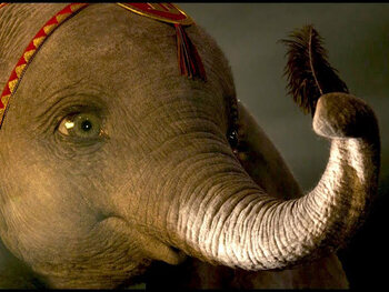 Dumbo, le film de Tim Burton, est maintenant disponible dans le catalogue à la demande de Proximus Pickx