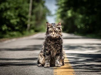Bekijk 'Pet Sematary' nu in de op aanvraag-catalogus van Proximus Pickx
