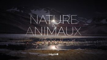 Ushuaia TV fait peau neuve