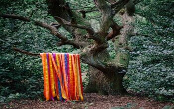 The Animal Spirits - James Holden