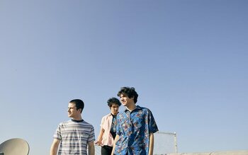 Wallows