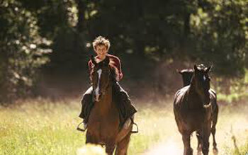 Out Stealing Horses