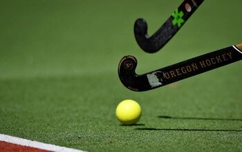 Le stick (ou la crosse)