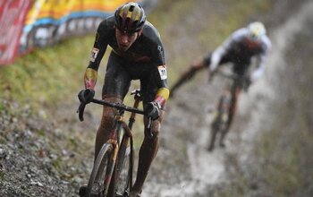 Toon Aerts