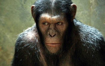 Rise Of The Planet Of The Apes