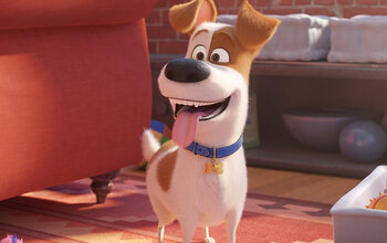 The Secret Life Of Pets 2 / Huisdiergeheimen 2